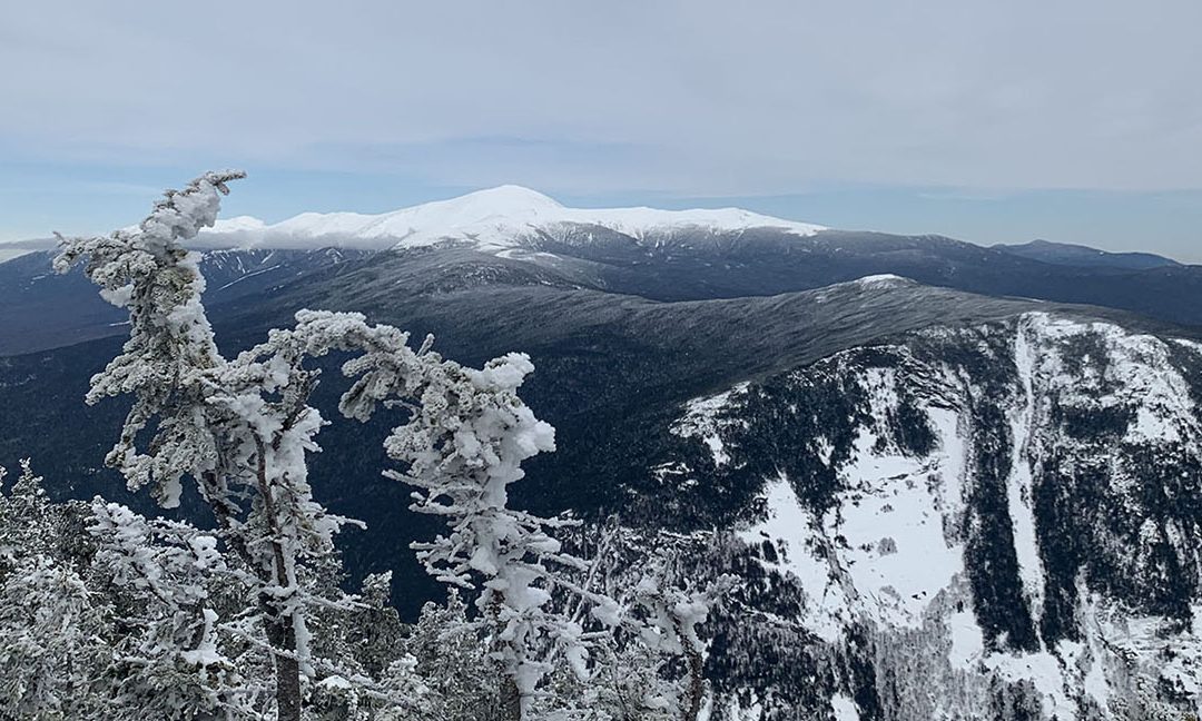 4000-Footers Club: Tom/Field/Avalon Loop